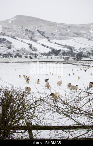 Neve invernale vale di edale parco nazionale di Peak District derbyshire England Regno unito Gb Foto Stock