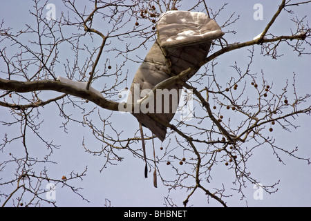 Oggetto di dumping materasso bloccato in un albero in una strada di Manhattan Foto Stock
