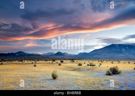 Nuvole lenticolari sopra la Sierra Orientale Montagne, California Foto Stock