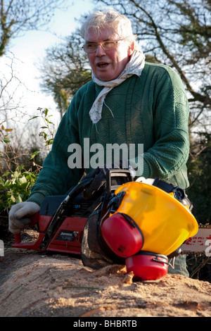 Abbattimento degli alberi nella contea di Limerick Irlanda Foto Stock