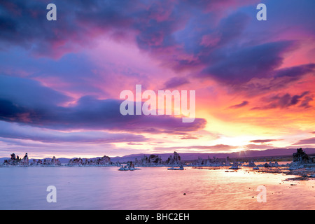 Alba sul lago mono. California Foto Stock