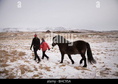 Due persone con un cavallo, Skagafjordur Islanda Foto Stock