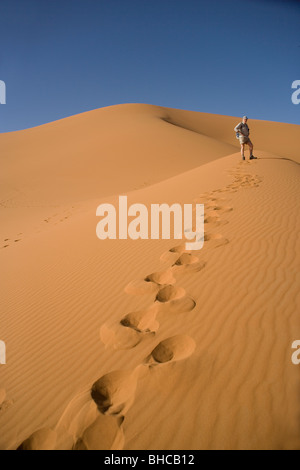 Passeggiate turistiche sulle dune di sabbia di Erg Chebbi nel deserto del Sahara in Marocco Foto Stock