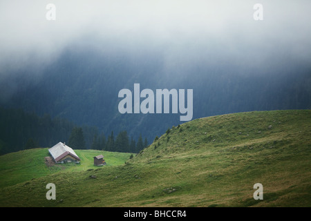 Escursionismo in Schynige Platte - Oberland Bernese, la Svizzera centrale Foto Stock