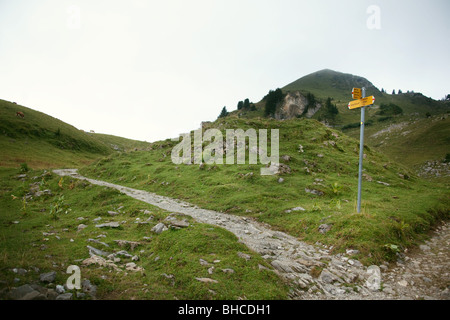 Escursionismo in Schynige Platte - Oberland Bernese, la Svizzera centrale Foto Stock