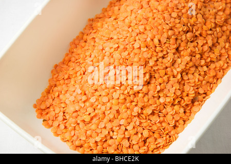 Di lenticchie rosse in un piatto bianco Foto Stock