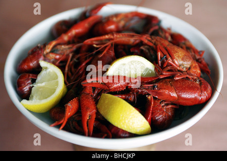 Gamberi di fiume, New Orleans, Louisiana, Stati Uniti d'America Foto Stock