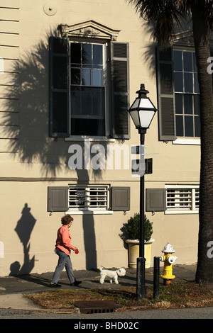 Passeggiate con il cane, Est batteria, Charleston, Carolina del Sud, STATI UNITI D'AMERICA Foto Stock