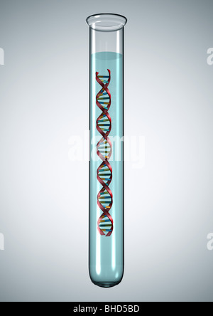 Elica di DNA - Alpha Doppelhelix DNS Foto Stock
