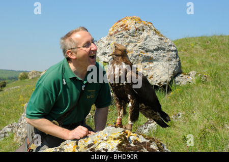 Falkner jungem mit Steinadler (Aquila chrysaetos) Falconer con giovani Golden Eagle • Baden-Wuerttemberg; Deutschland; Germania Foto Stock