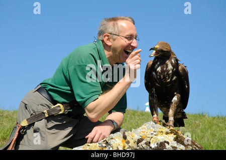 Falkner jungem mit Steinadler (Aquila chrysaetos) Falconer con giovani Golden Eagle • Baden-Wuerttemberg; Deutschland; Germania Foto Stock