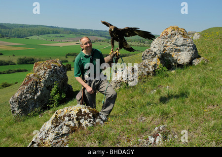 Falkner jungem mit Steinadler (Aquila chrysaetos) Falconer con giovani Golden Eagle • Baden-Wuerttemberg; Deutschland; Germania Foto Stock