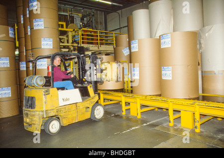 Finito di rotoli di carta riciclata vengono impilate con la forcella di sollevamento in magazzino Foto Stock
