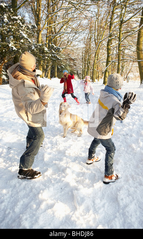 Famiglia avente lotta con le palle di neve nel bosco innevato Foto Stock