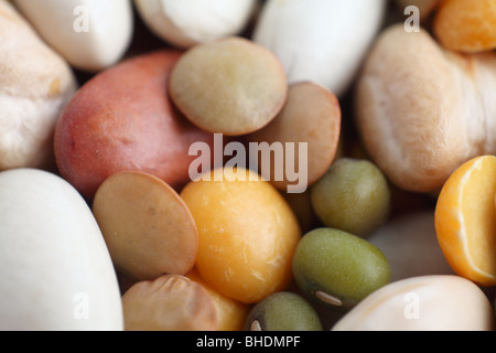 Macro estreme di un assortimento di diversi legumi secchi Foto Stock