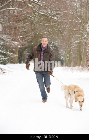 Senior uomo cane a piedi attraverso il bosco innevato Foto Stock