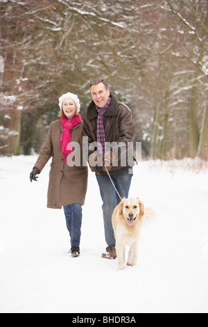 Coppia senior cane a piedi attraverso il bosco innevato Foto Stock