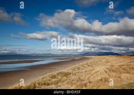 La spiaggia e le dune di sabbia a Harlech, Gwynedd, Galles Foto Stock
