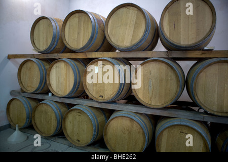 L'Italia, Sicilia, isola di Pantelleria, botti di vino da invecchiamento " passito di Pantelleria ' Foto Stock