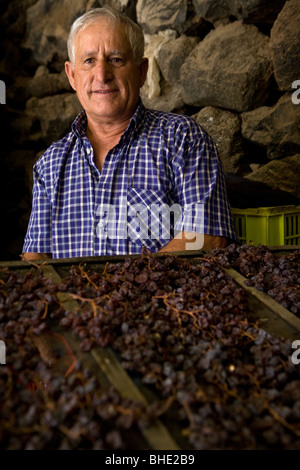 L'Italia, Sicilia, isola di Pantelleria, uomini che preparano le uve per il vino "Passito di Pantelleria" Foto Stock