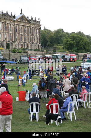 Gli spettatori a guardare il cane evento agilità a Chatsworth Country Fair, la Chatsworth House, Derbyshire, England, Regno Unito Foto Stock