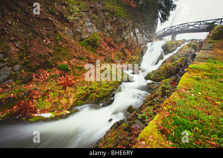 Serena cascata che scorre sotto un ponte di legno in un lussureggiante parco della Repubblica Ceca con gradini che portano su una collina erbosa Foto Stock