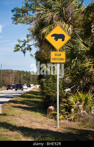 Central FL - Nov 2008 - Segnaletica Stradale avvisa di orsi attraversando la strada nella Florida centrale vicino a Sanford, Florida Foto Stock