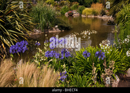 Una piscina fronte mare con aiuole e arbusti da fiore Foto Stock