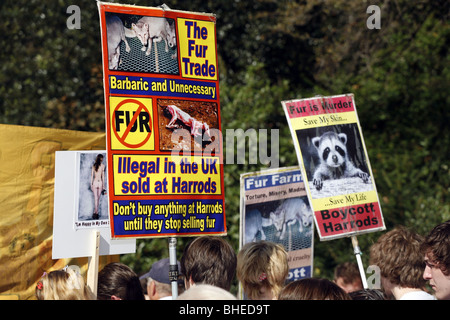 Anti-Fur dimostrazione in Knightsbridge fuori Harrods organizzato da CAFT (Coalizione per abolire il commercio di pellicce), London Inghilterra England Foto Stock