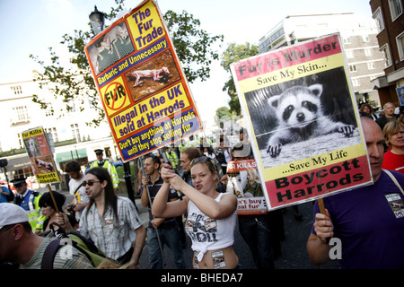 Anti-Fur dimostrazione in Knightsbridge fuori Harrods organizzato da CAFT (Coalizione per abolire il commercio di pellicce), London Inghilterra England Foto Stock