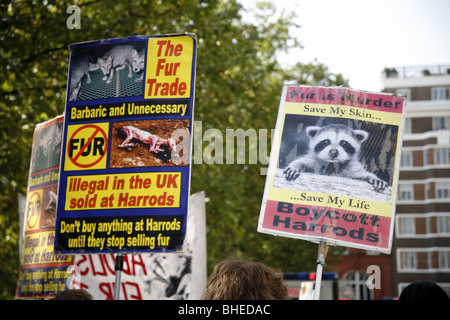 Anti-Fur dimostrazione in Knightsbridge fuori Harrods organizzato da CAFT (Coalizione per abolire il commercio di pellicce), London Inghilterra England Foto Stock