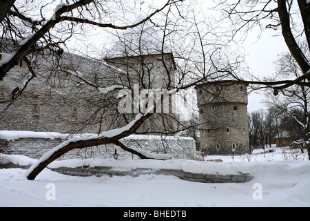 Pareti in pietra e le torri in il giardino del re danese, forma le difese medievale nel distretto di Toompea, la città vecchia di Tallinn, Estonia. Foto Stock