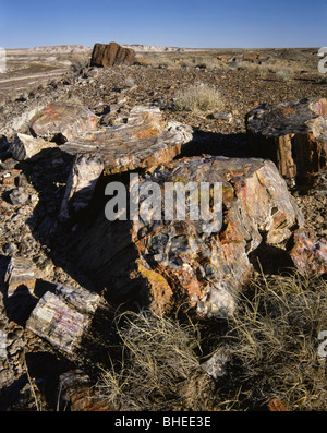 ARIZONA - Legno pietrificato vicino Chinda punto con il Deserto Dipinto nella distanza nel Parco Nazionale della Foresta pietrificata. Foto Stock