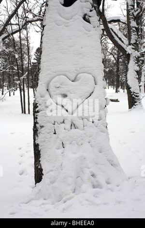 Scene di neve in Kadrioru Park, il distretto di Kadriorg, Tallinn, Estonia. Foto Stock