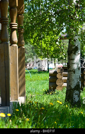 Disegnare in legno e nella zona rurale con shadoof. Erba verde intorno ad esso. Casa in legno in background. Villaggio russo. La Russia Foto Stock