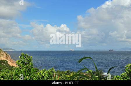 Foglia verde lame fa roteare al di sopra di un azzurro del Mare della Cina del Sud, nei pressi di Tung O, Lamma Island, Hong Kong, Cina Foto Stock