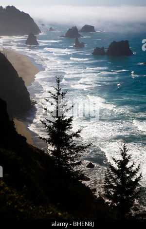 Un banco di nebbia rotoli in dall'Oceano Pacifico sulla costa dell'Oregon nella Samuel H Boardman parco dello stato , USA, 2009 Foto Stock