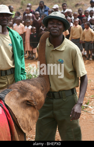 Un giovane elefante con uno dei custodi presso il Daphne Sheldrick l'Orfanotrofio degli Elefanti, vicino a Nairobi in Kenya. Foto Stock