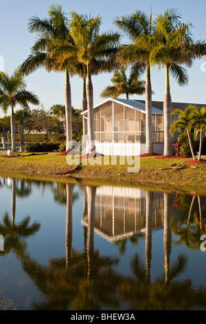 Vicolo di alligatore, FL - Nov 2008 - palme linea lago a RV lusso resort in Alligator Alley vicino a Napoli, Florida Foto Stock