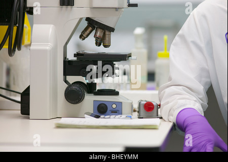 Scienziato analizzando le cellule staminali campione in un laboratorio Foto Stock