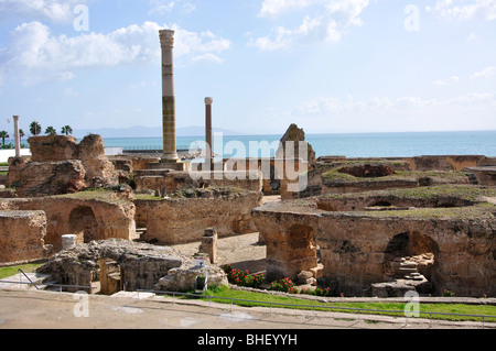 Thermes d' Antonin, Cartagine, Tunisi, Governatorato di Tunisi, Tunisia Foto Stock