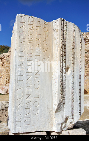 Fascio di marmo con iscrizioni, Thermes d' Antonin, Cartagine, Tunisi, Governatorato di Tunisi, Tunisia Foto Stock