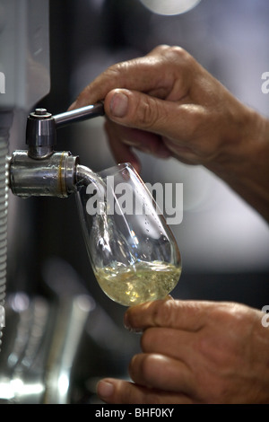 L'Italia, Sicilia, isola di Pantelleria e degustazione di vino Foto Stock