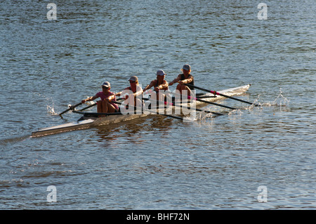 Un' womans fours rowing team training sul Fiume Yarra di Melbourne Foto Stock