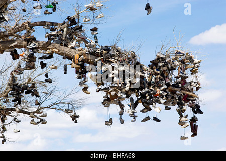 Vista verso un ramo di un albero in cui migliaia di scarpe sono appesi, buona fortuna Tree, US Highway 50, Middlegate, Nevada, STATI UNITI D'AMERICA Foto Stock