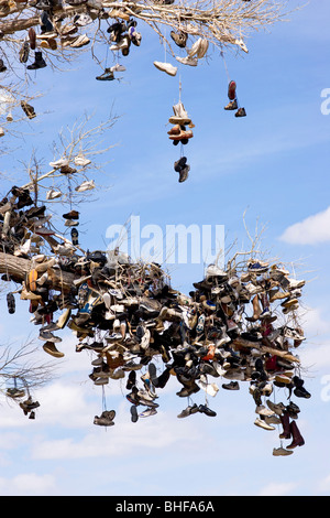 Vista verso un ramo di un albero in cui migliaia di scarpe sono appesi, buona fortuna Tree, US Highway 50, Middlegate, Nevada, STATI UNITI D'AMERICA Foto Stock