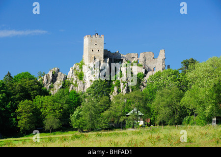 Rovina del castello Weissenstein, Regen, Foresta Bavarese, Bassa Baviera, Baviera, Germania Foto Stock