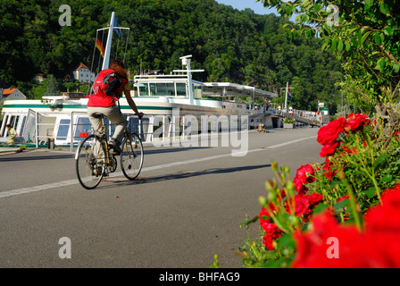 Ciclista femmina a cavallo lungo il fiume Danubio, Danubio Percorso Ciclabile Passau a Vienna, Passau, Bassa Baviera, Baviera, Germania Foto Stock