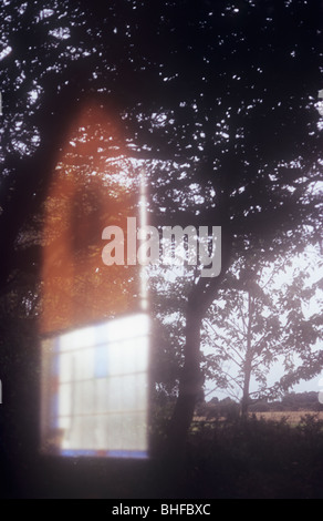 Vista enigmatico di albero riflessioni sulla finestra mentre guardando thru a un'altra finestra con vetro macchiato di riquadri e tenda a mezza disegnata Foto Stock