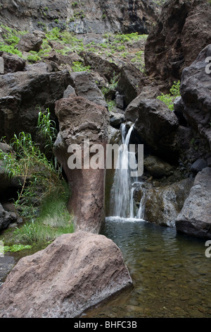 Cascata a Masca gorge, Barranco de Masca, Parque Rural de Teno, Tenerife, Isole Canarie, Spagna, Europa Foto Stock